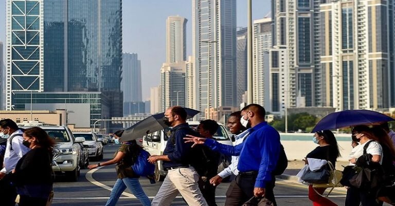 UAE: नौकरी छूटने पर मिलेगा मुआवजा, प्रवासी और नागरिक ऐसे करें पंजीकरण, नहीं तो लगेगा जुर्माना